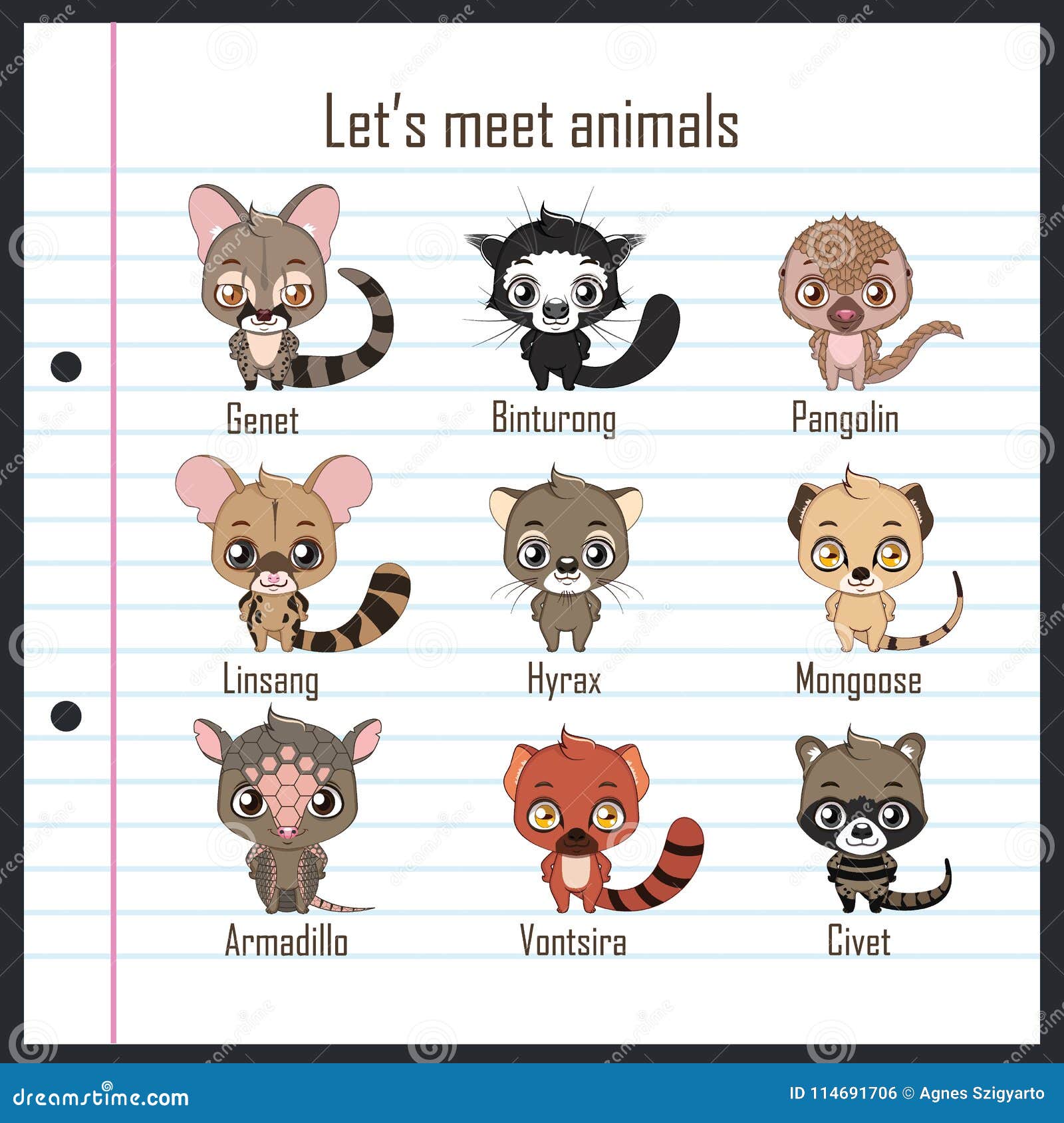 Lesser Known Animals Collection Stock Vector Illustration of animal