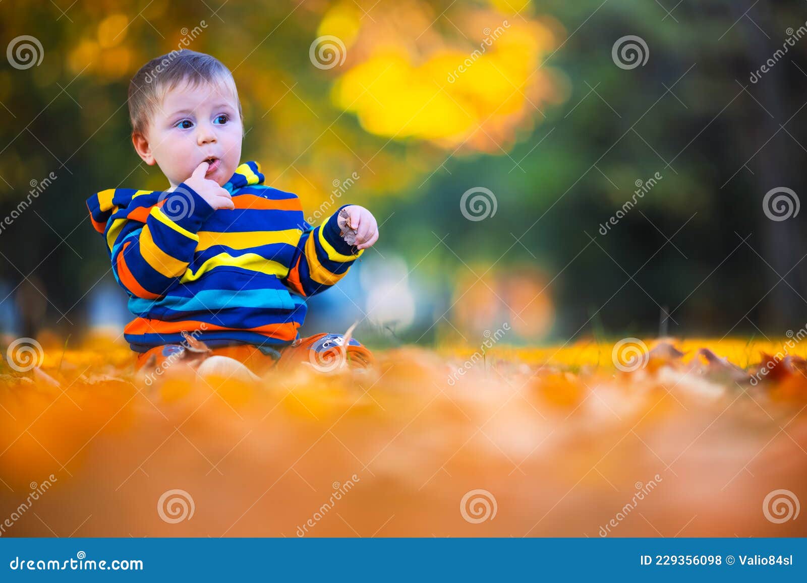 Cute Little Baby Boy Play In Autumn Park With Fallen Leaves Stock Photo