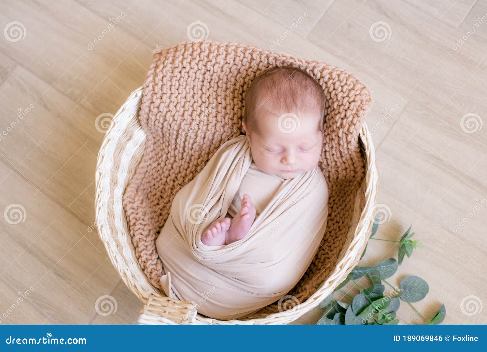 Cute Little Baby Lies in a Wicker Basket Decorated with Greens Stock ...