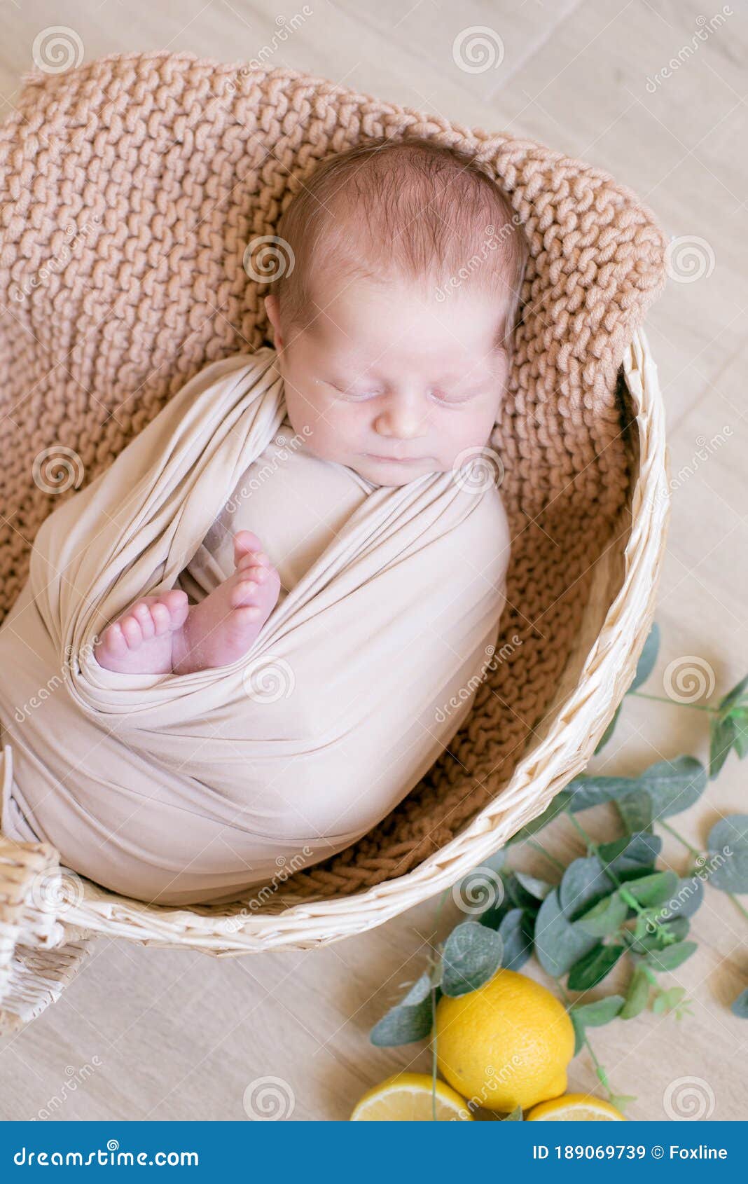 Cute Little Baby Lies in a Wicker Basket Decorated with Greens and ...