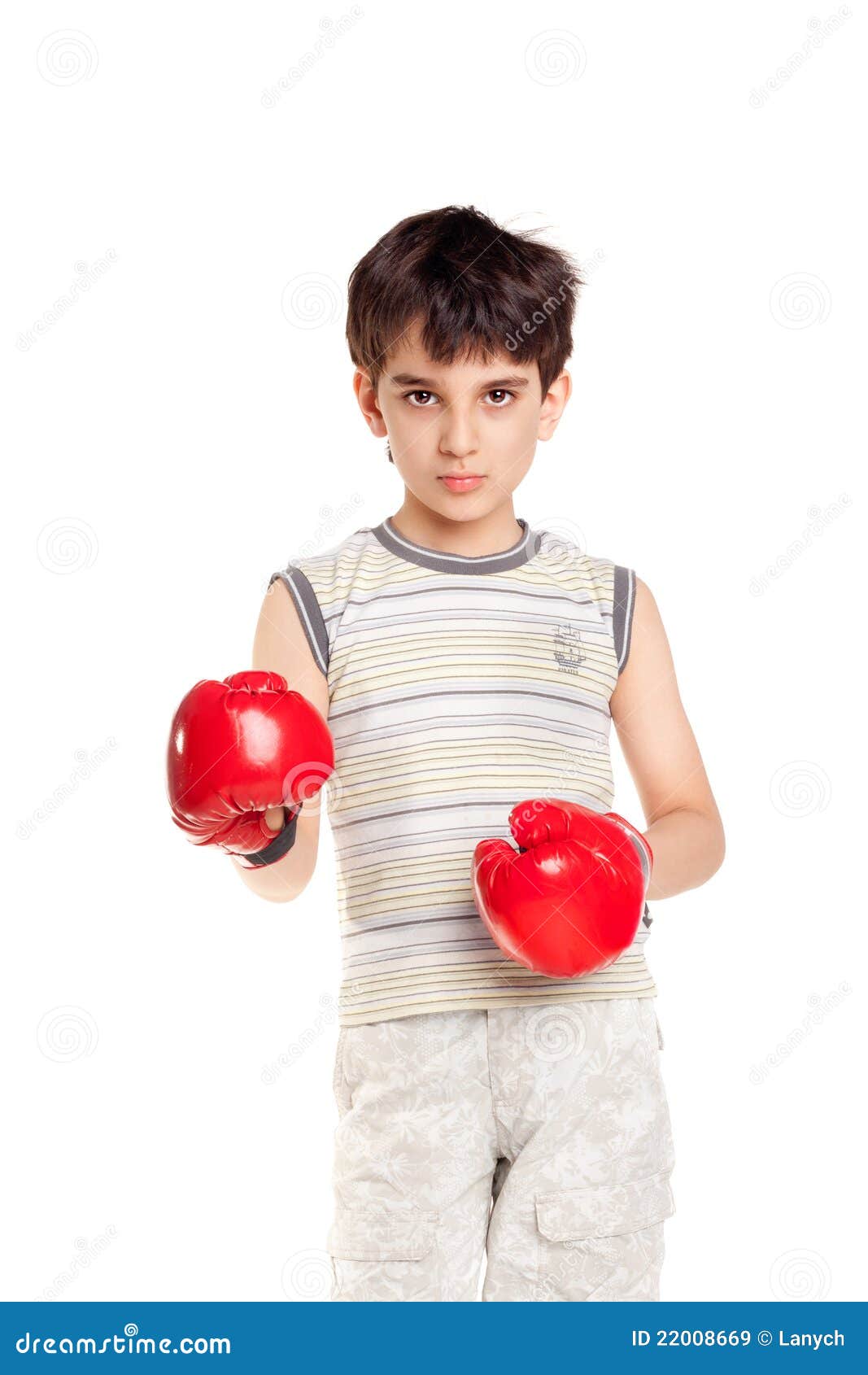 Cute little boxer stock image. Image of background, active 22008669