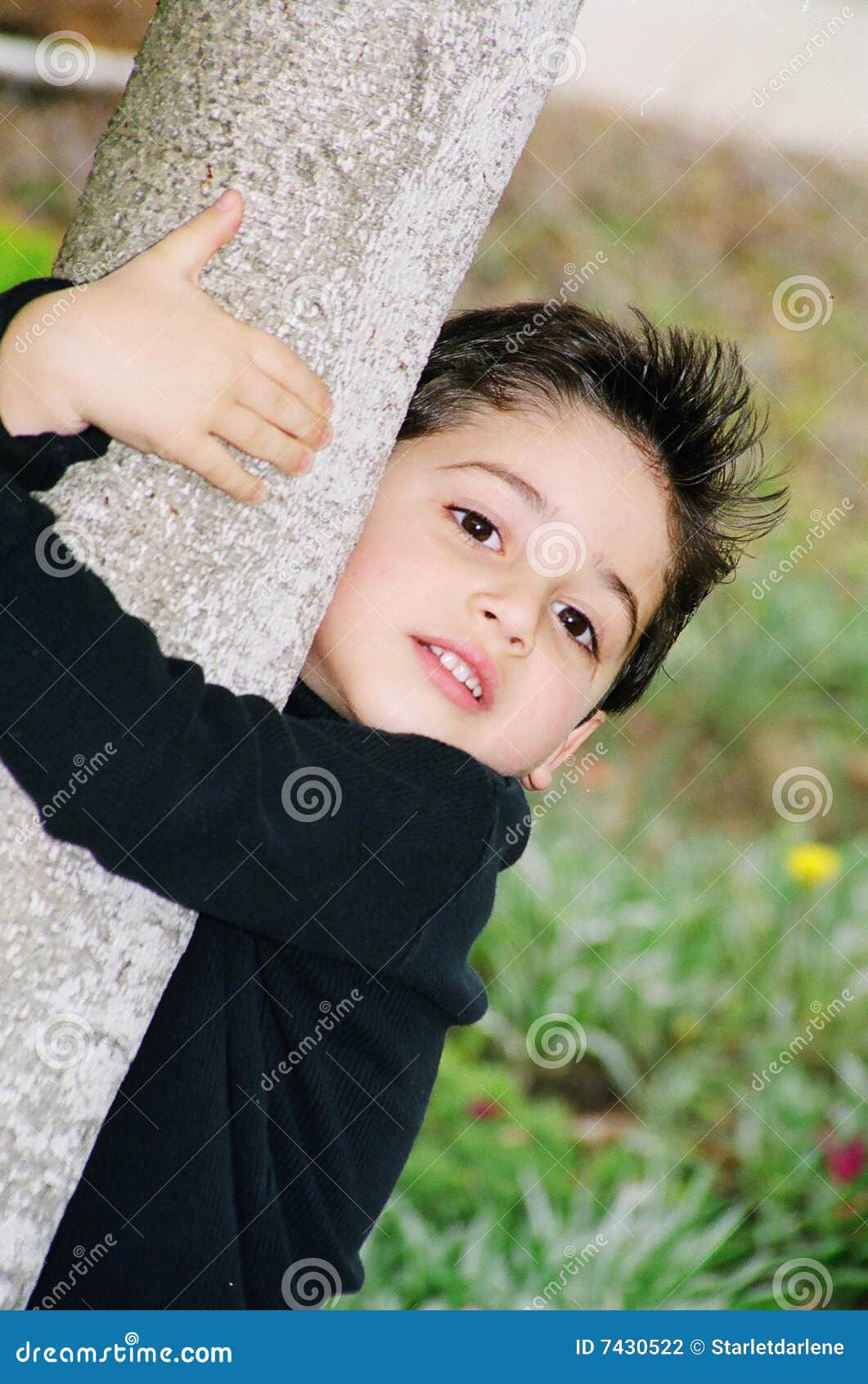 Cute Little Boy Climbing on a Tree Stock Photo - Image of laugh ...