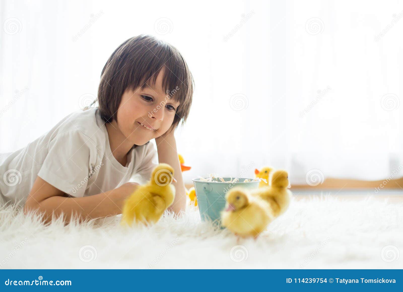 Cute Little Boy with Duckling Springtime, Playing Together Stock Photo ...