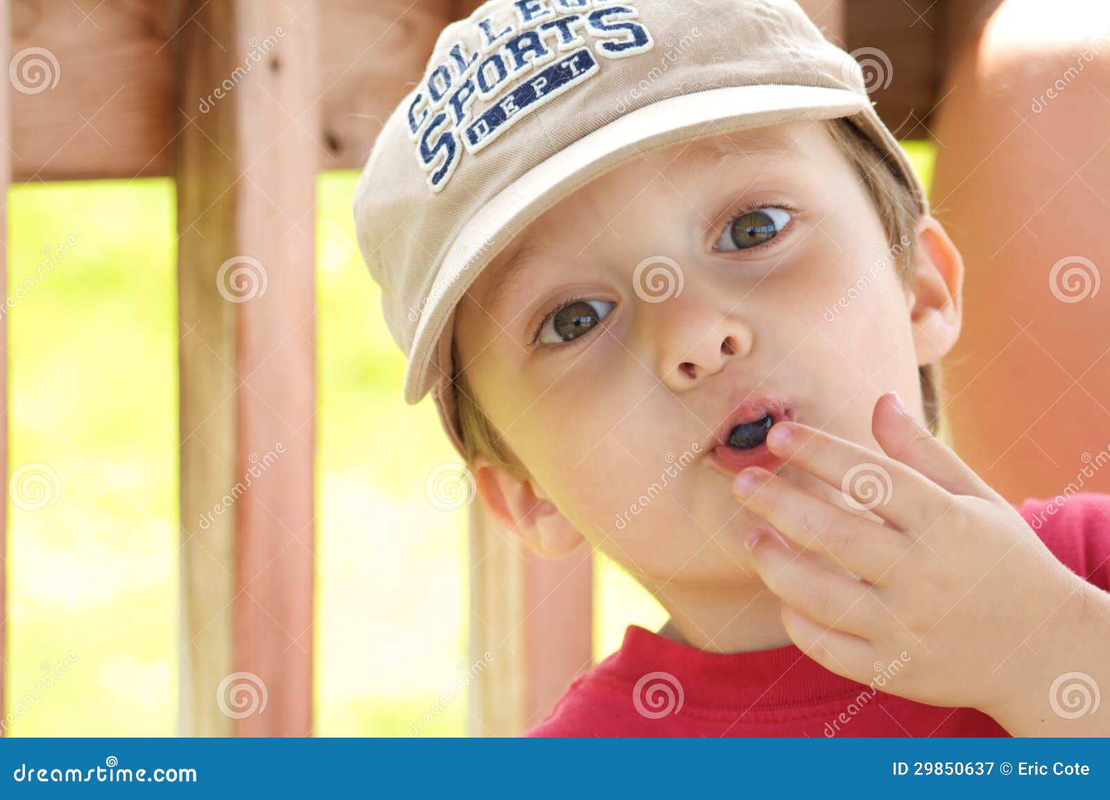 Boy eating blueberry stock image. Image of healthy, fruit 29850637