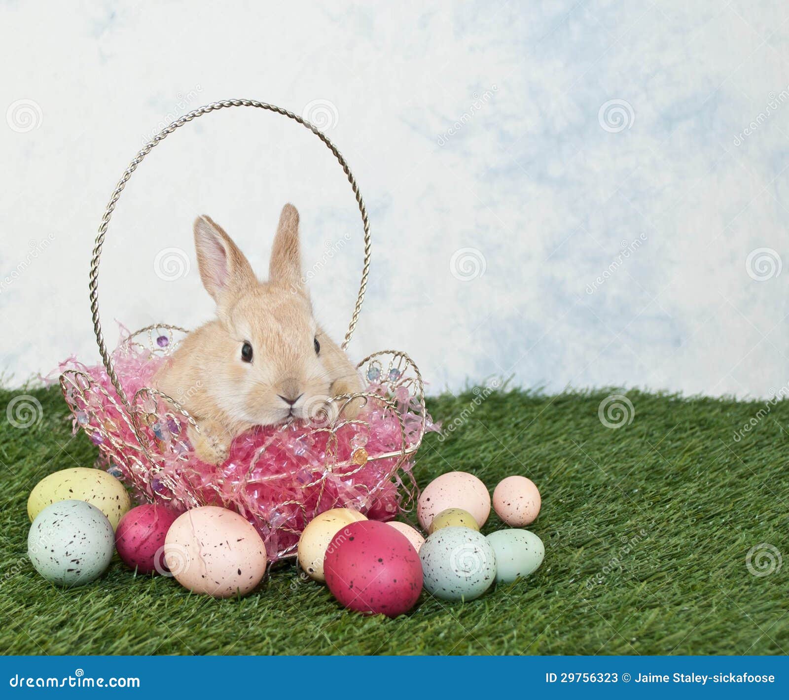 Easter Bunny Puppy stock image. Image of sitting, domestic 29756323