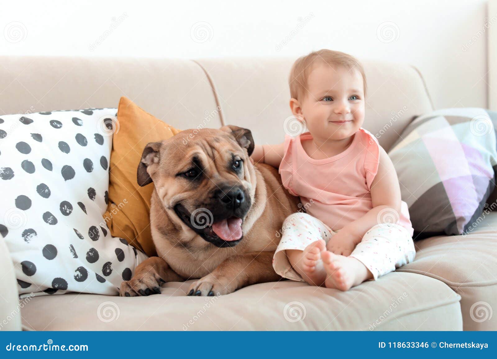 Cute Little Child with Dog on Couch Stock Photo Image of happy