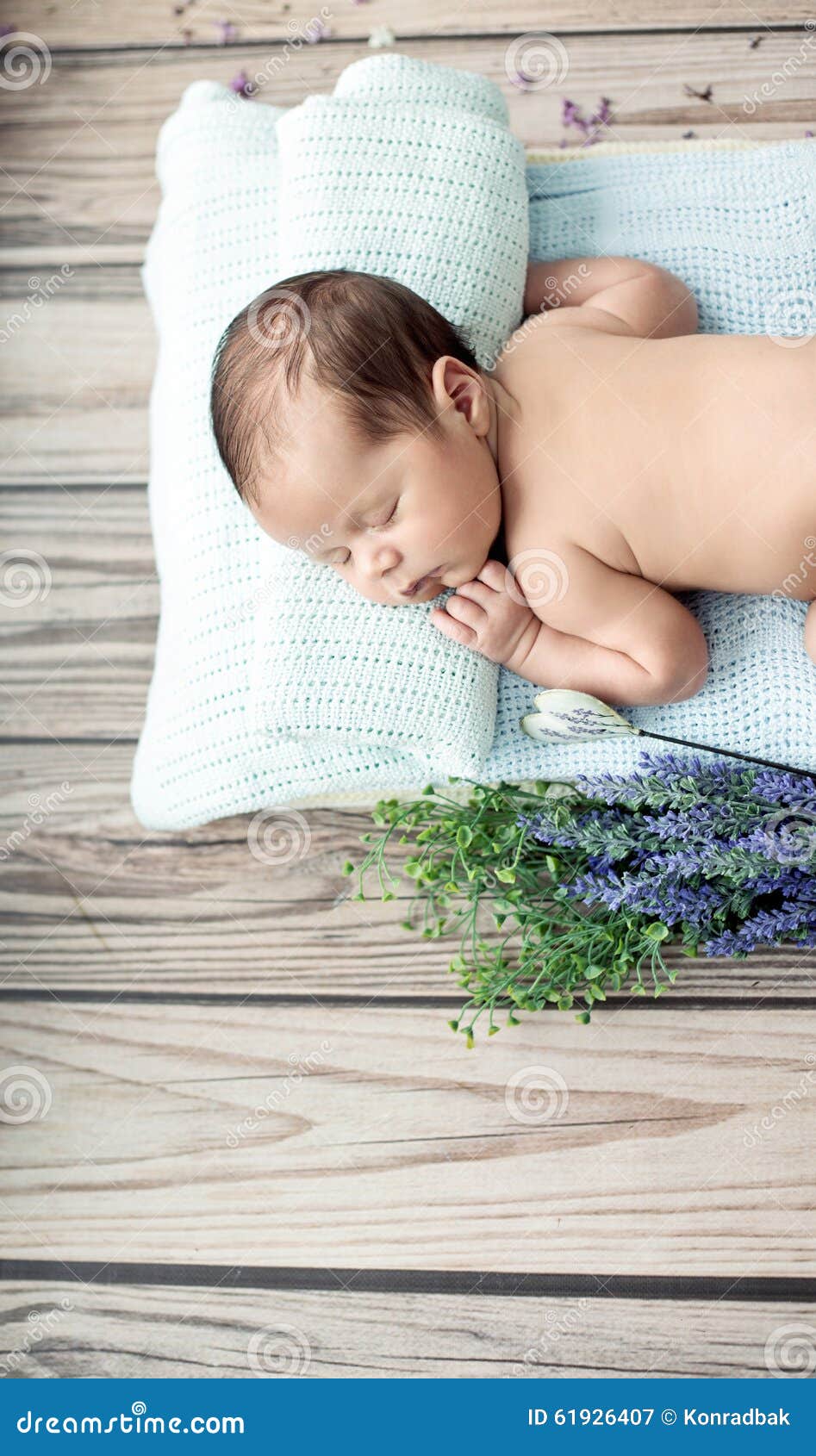 Cute Little Child Sleeping on the Blanket Stock Image Image of
