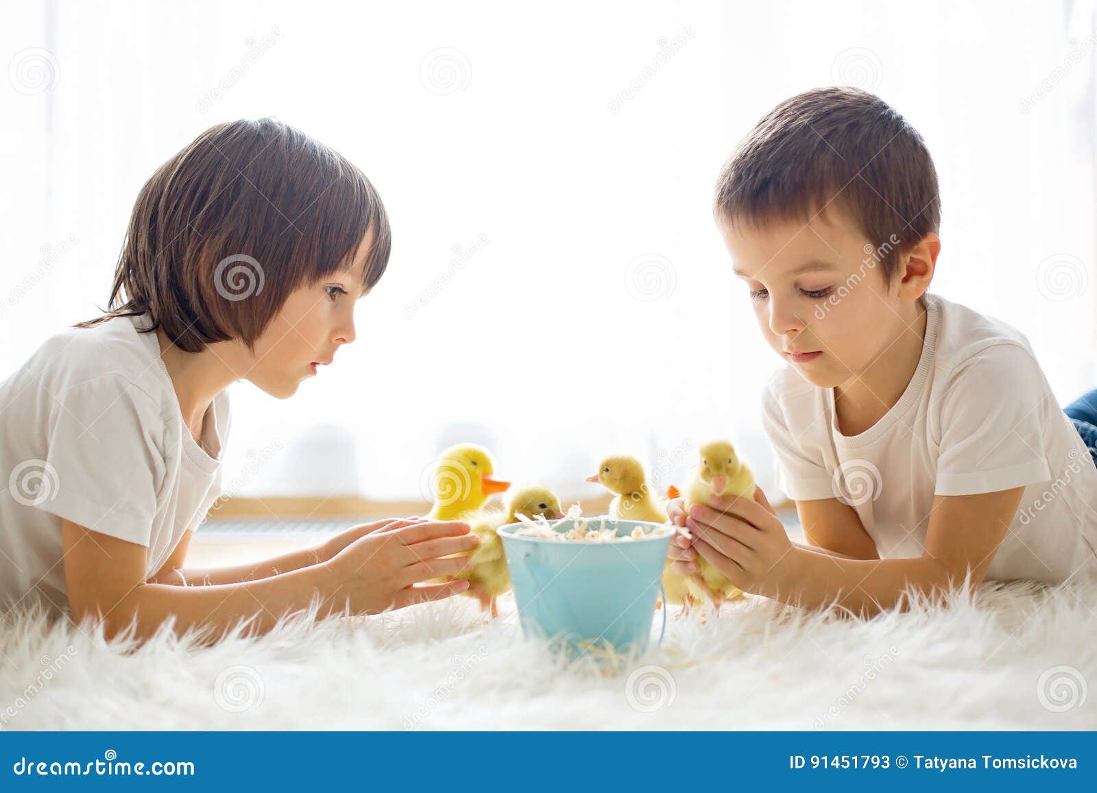 Cute Little Children, Boy Brothers, Playing with Duckling Spring Stock ...