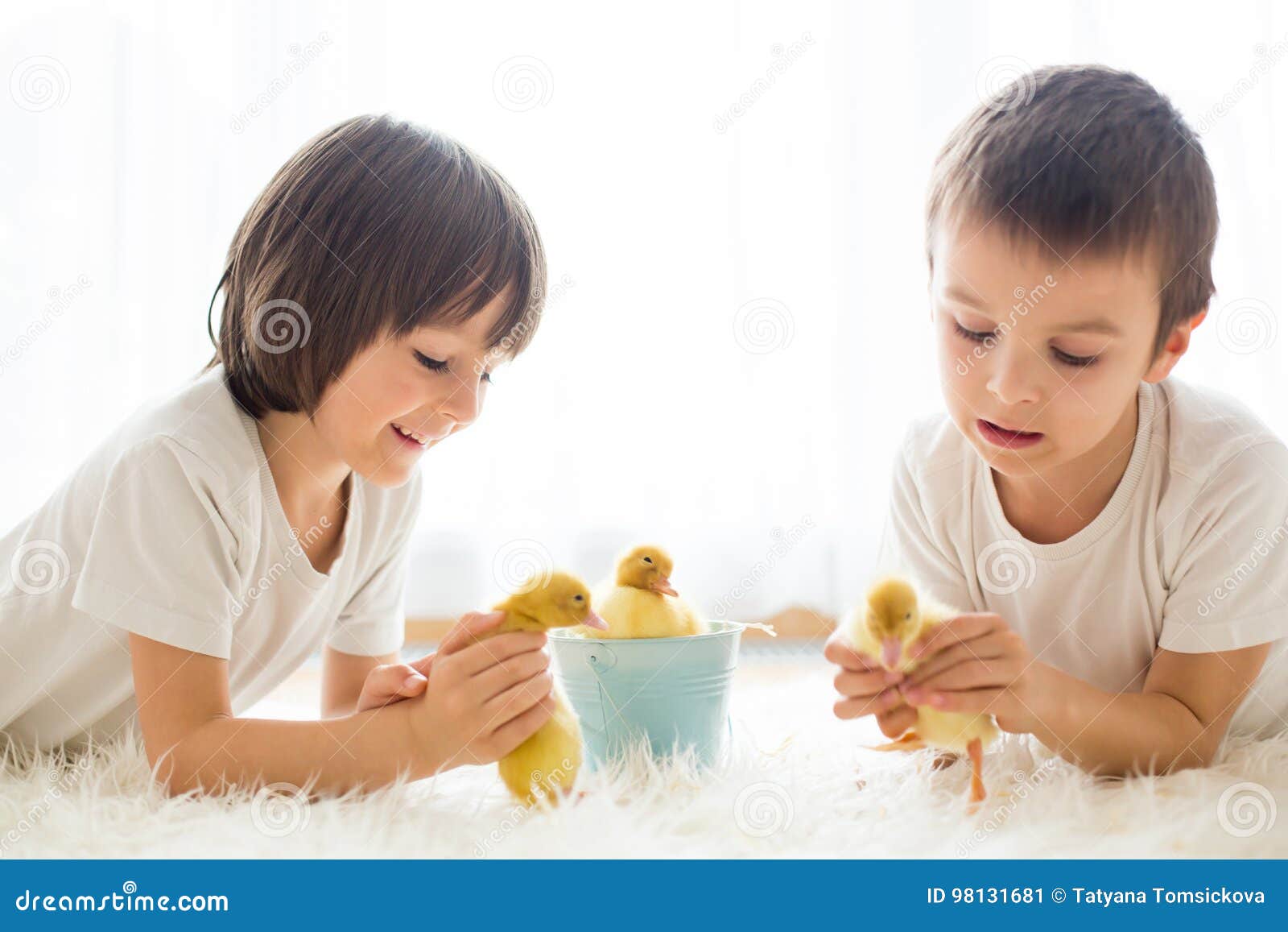 Cute Little Children, Boy Brothers, Playing with Ducklings Springtime ...