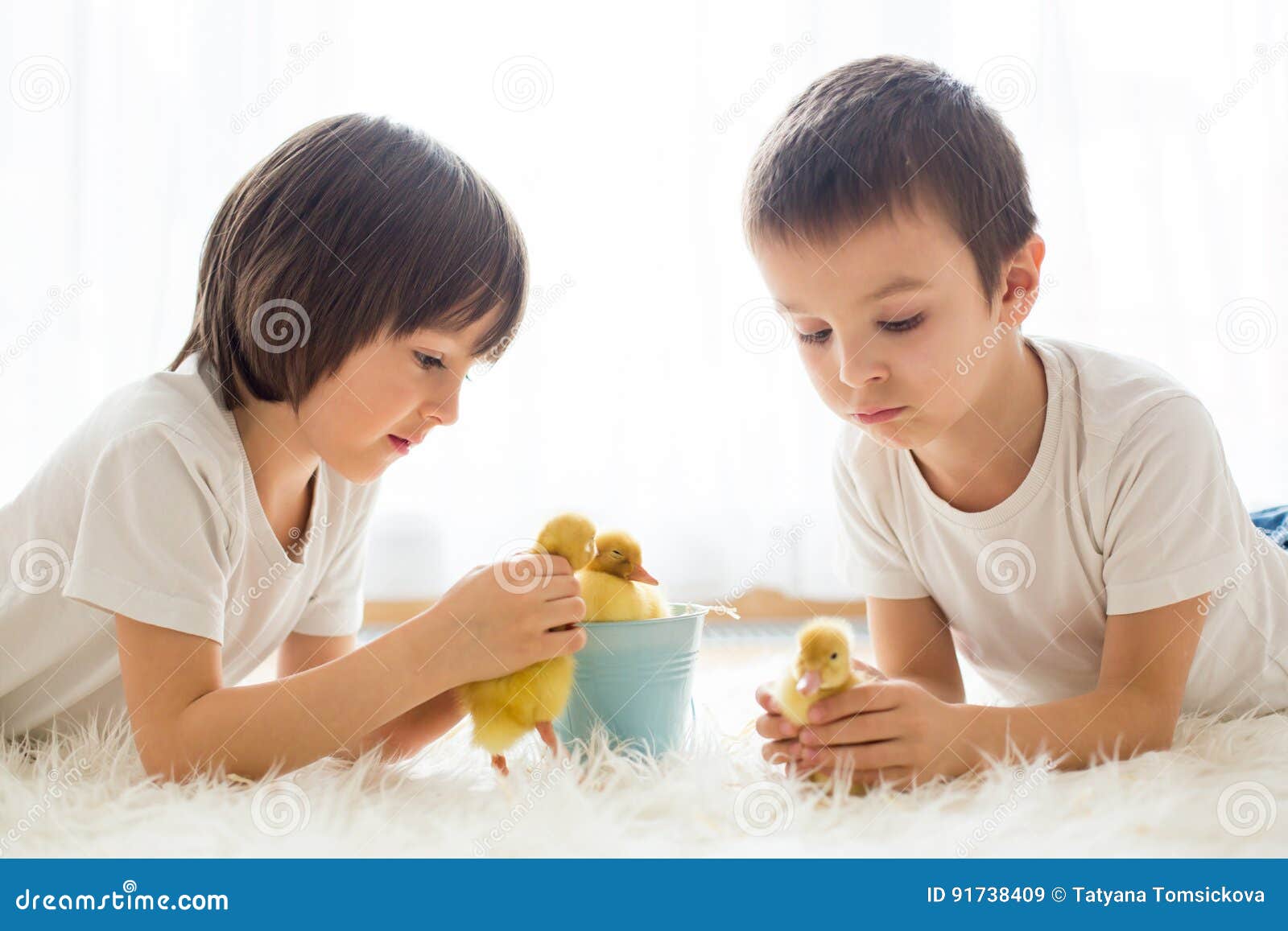 Cute Little Children, Boy Brothers, Playing with Ducklings Springtime ...