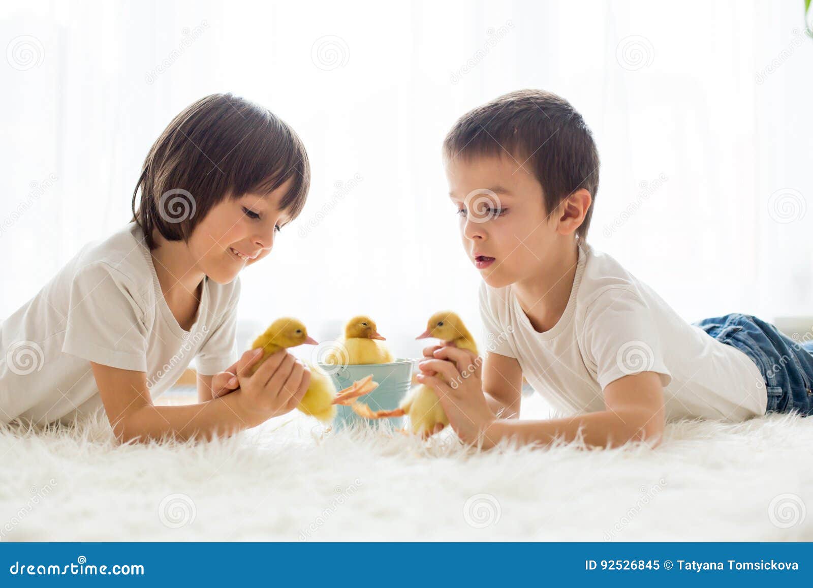 Cute Little Children, Boy Brothers, Playing with Ducklings Springtime ...