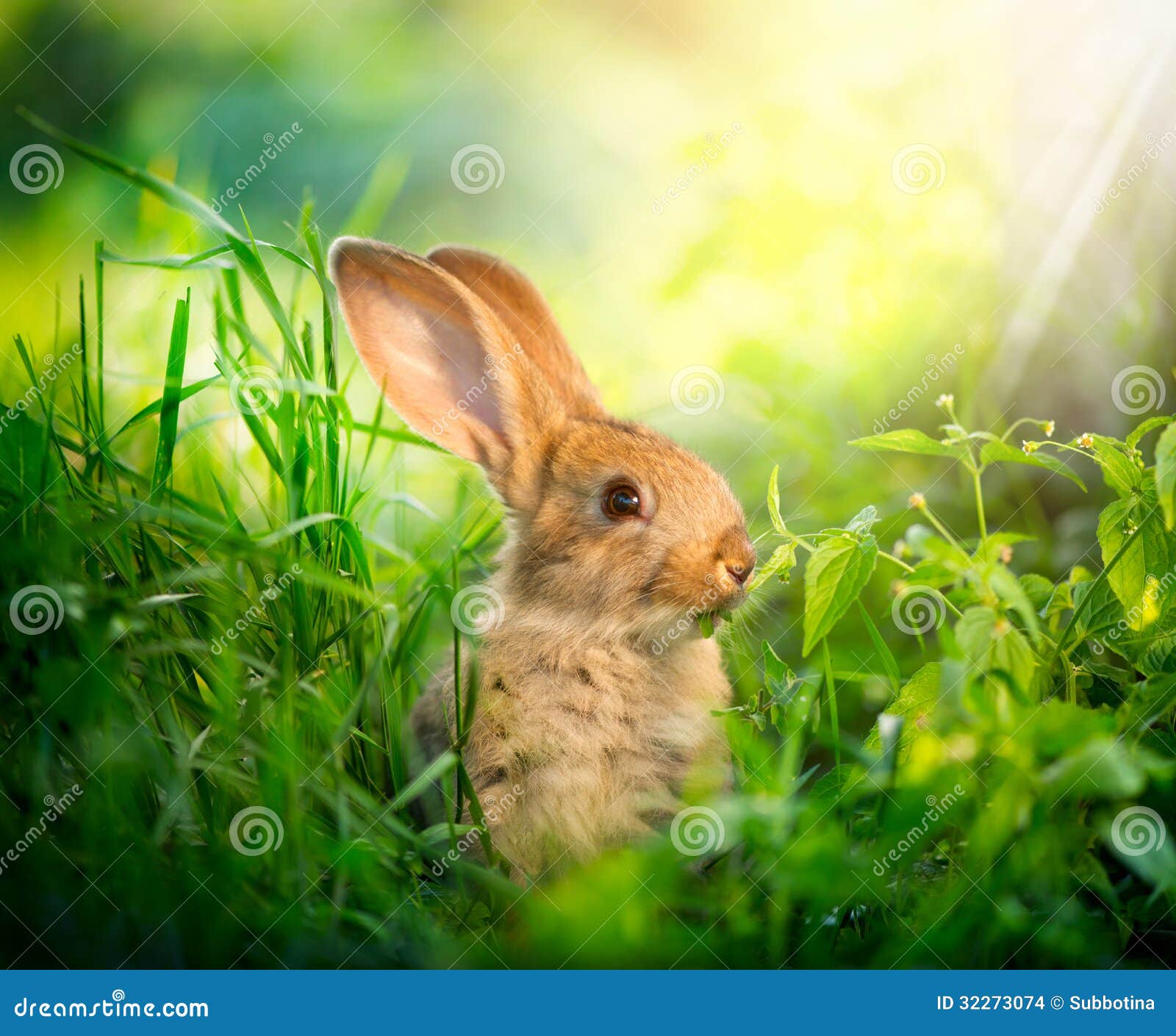 cute little easter bunny