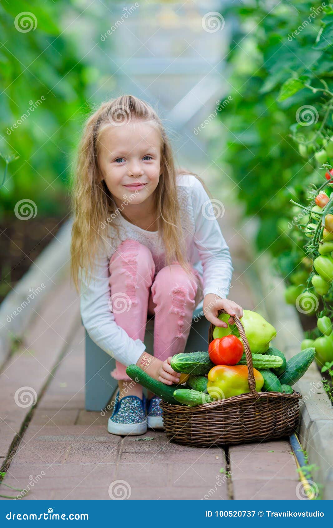 Adorable Little Girl Harvesting in Greenhouse. Portrait of Kid with ...