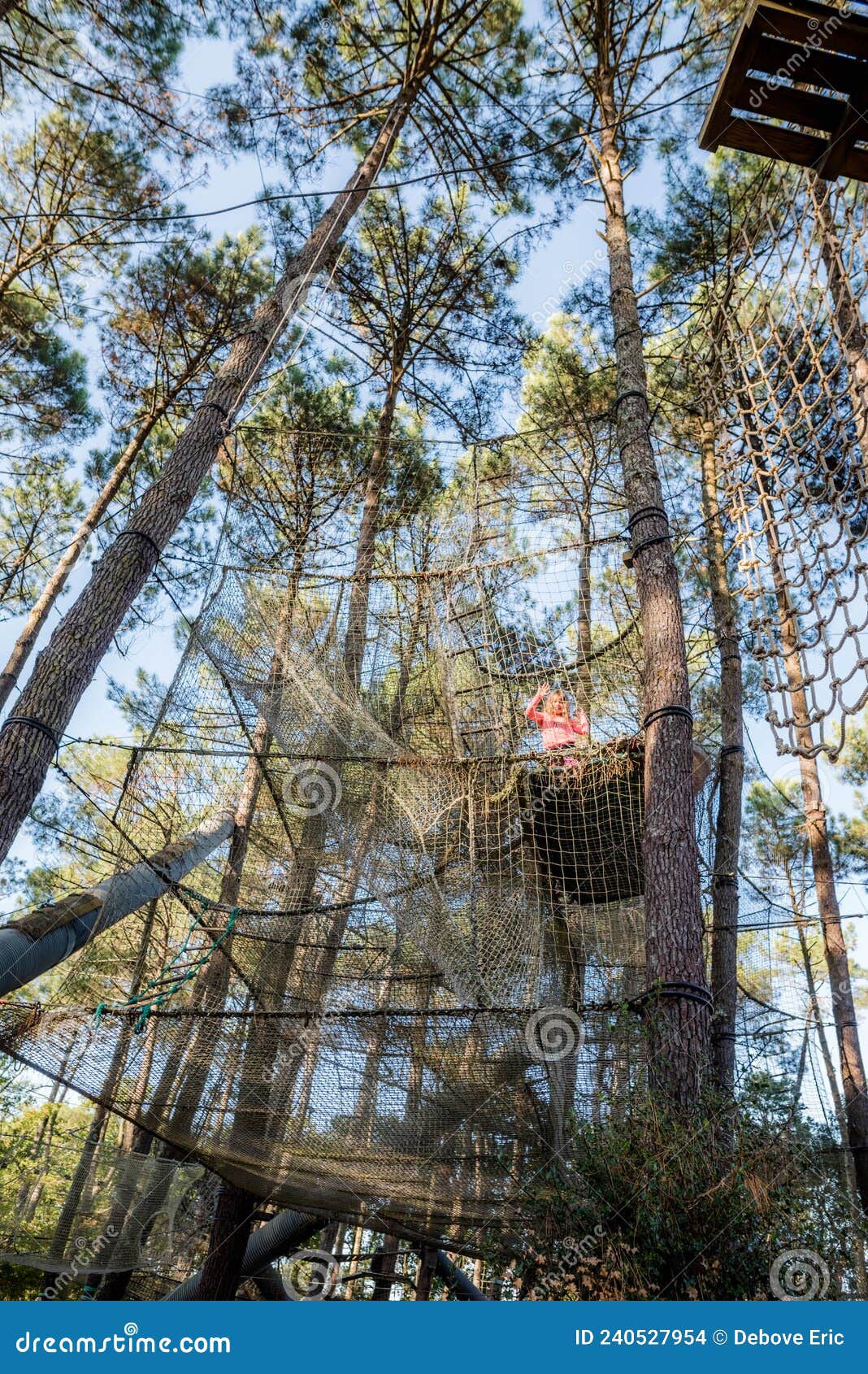 cute little girl having fun in a tree climbing park