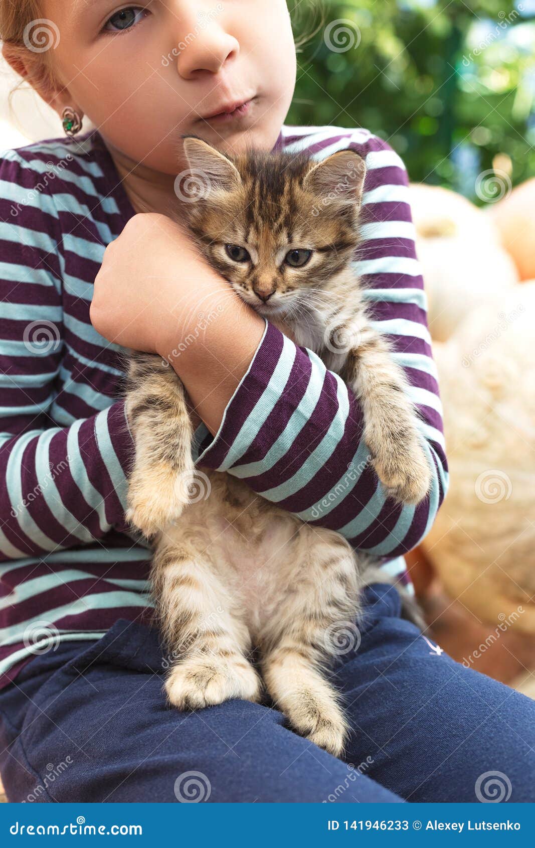 Cute Little Girl with Kitten Stock Image Image of domestic, lifestyle