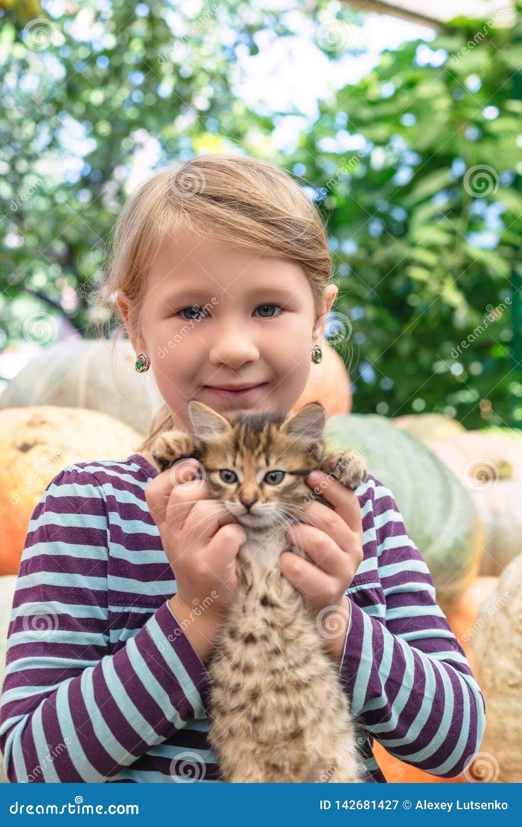 Cute Little Girl with Kitten Stock Image Image of friend, kitty
