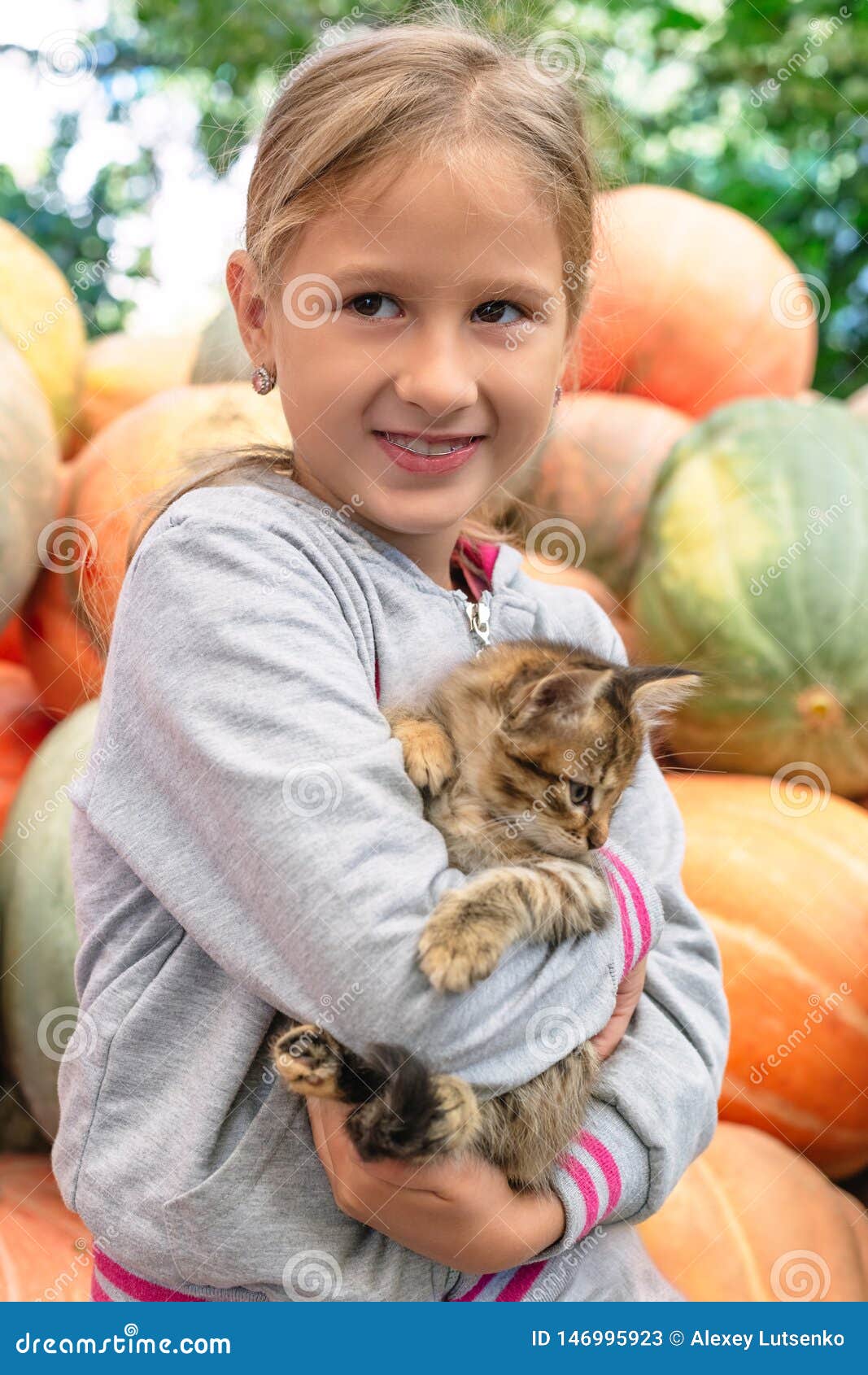 Cute Little Girl with Kitten Stock Image Image of natural, cheerful