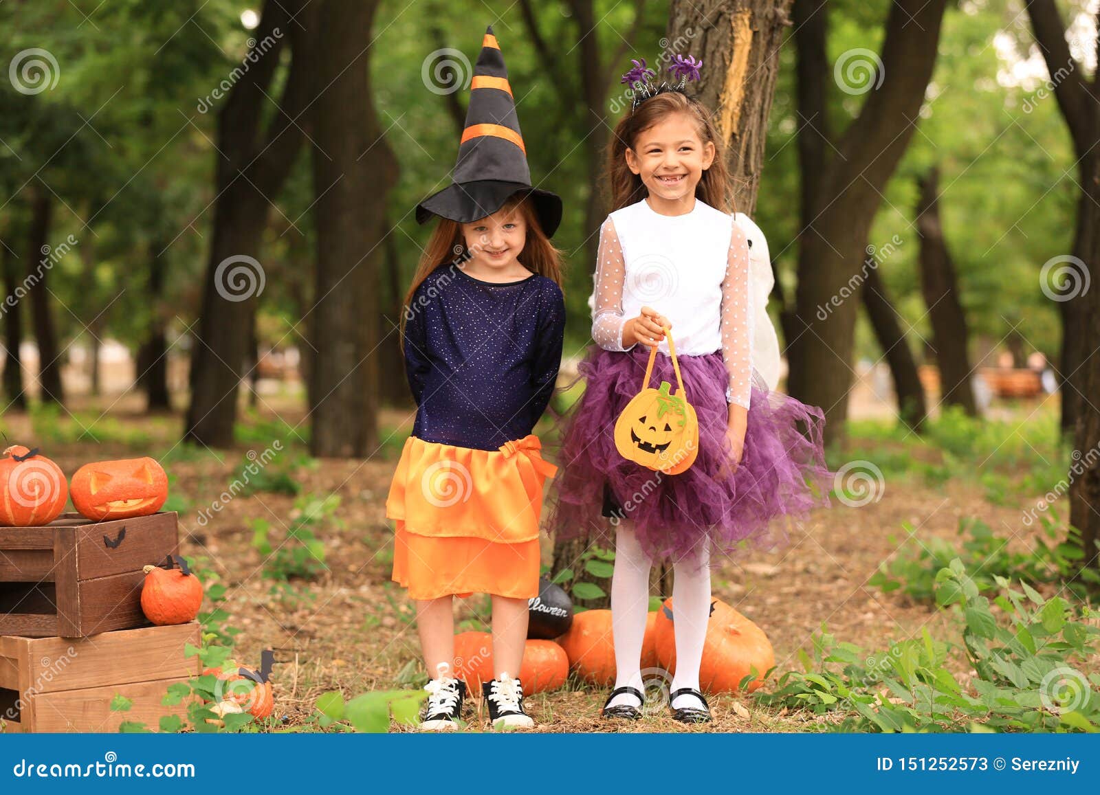 Cute Little Girls Dressed for Halloween in Autumn Park Stock Image ...