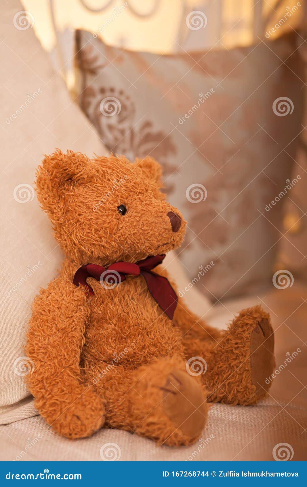 Cute Little Toy Brown Teddy Bear Sitting on a Sofa Stock Photo Image of teddy, plush 167268744