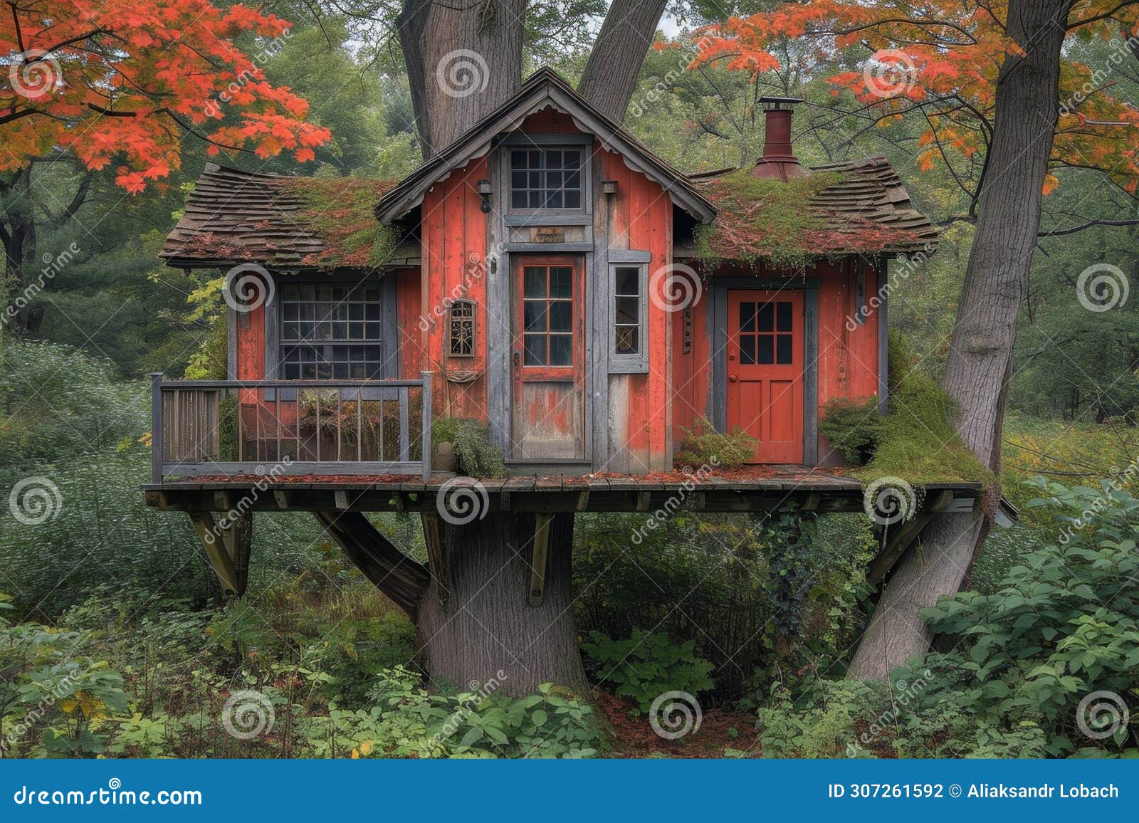Cute Little Tree House for Kids in the Forest Stock Photo Image of