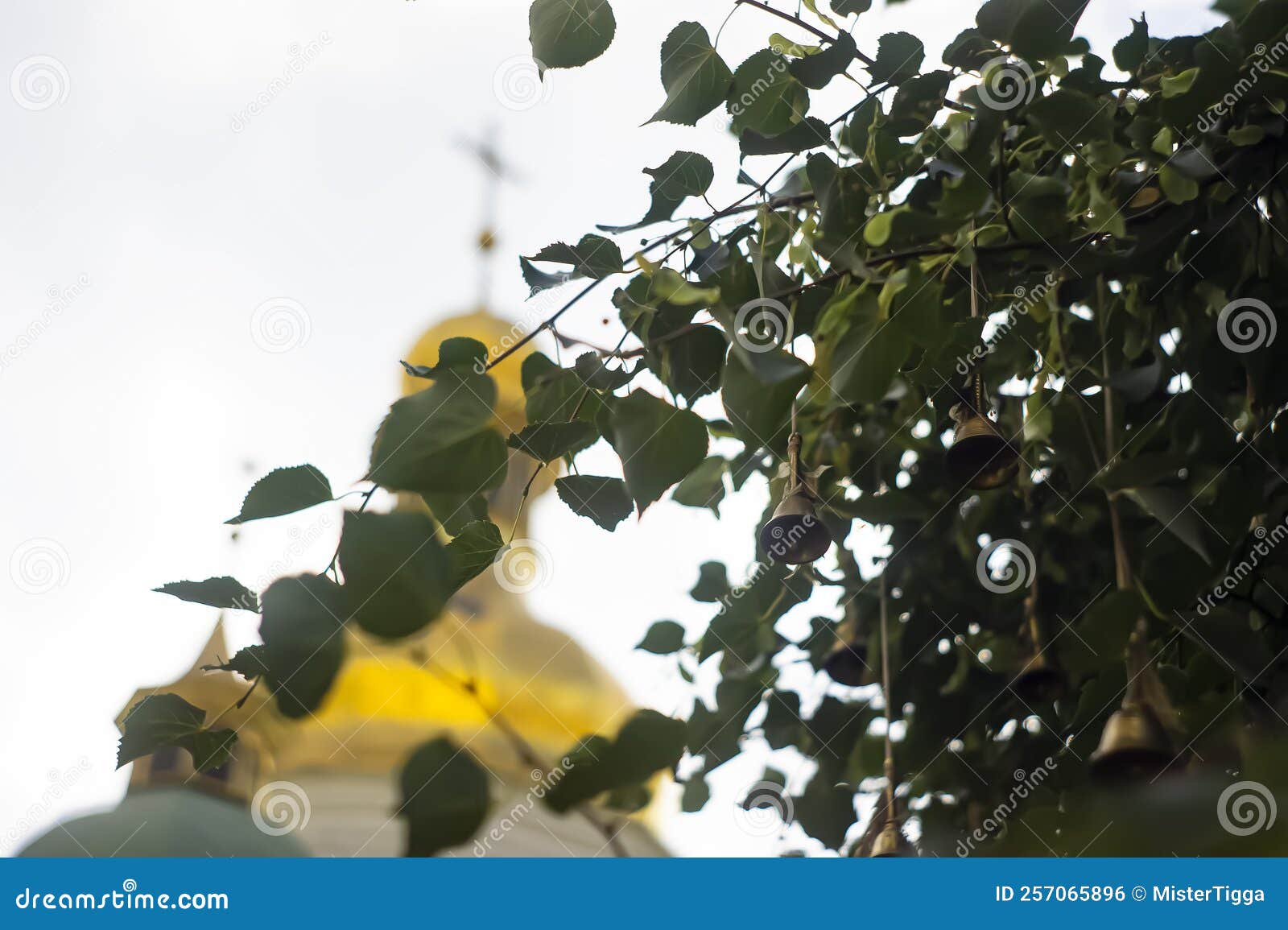 a cute little windbell hanging from a branch. bells on the branches of the tree in the courtyard of st. sophia christian church