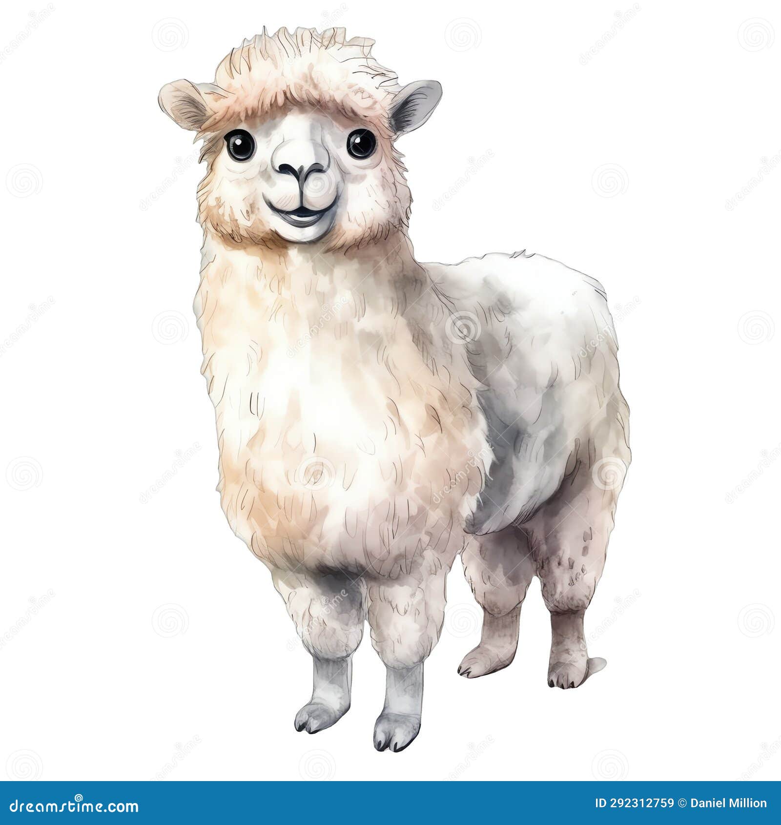 Cute Llama Watercolor Illustration, Animals and Farm Clipart Stock ...