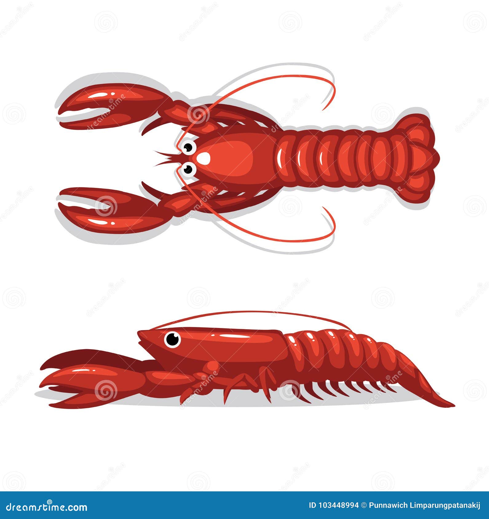 Cute Lobster Top Side View Cartoon Pose Stock Vector Illustration of isolated, seafood 103448994
