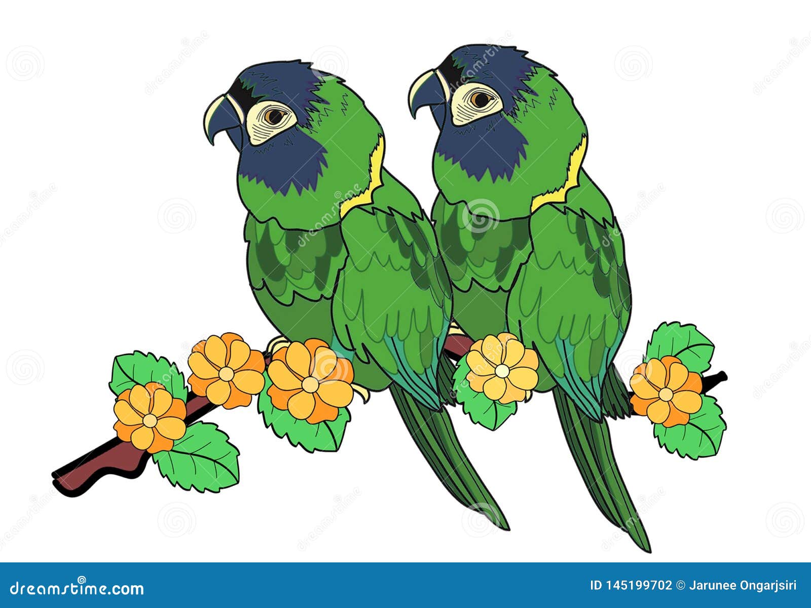 Cute Macaw Parrot Bird Love on Branch Art Stock Illustration - Illustration  of elements, color: 145199702