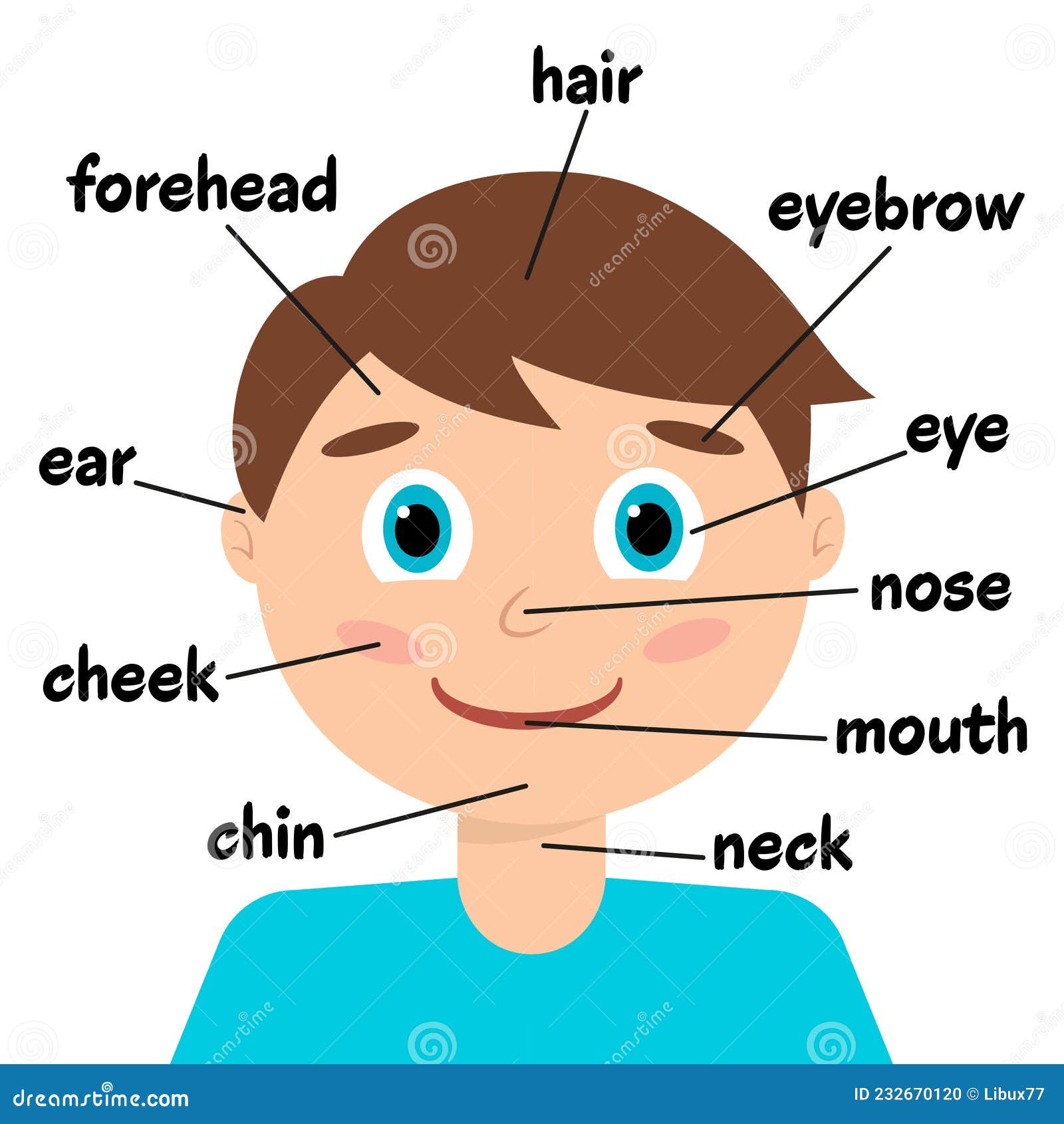 Cute Male Cartoon Smiling Boy With Labels Infographic Chart For Kids