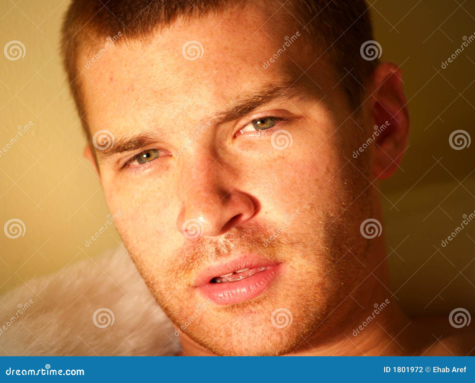 Cute male face stock photo. Image of pillow, background - 1801972