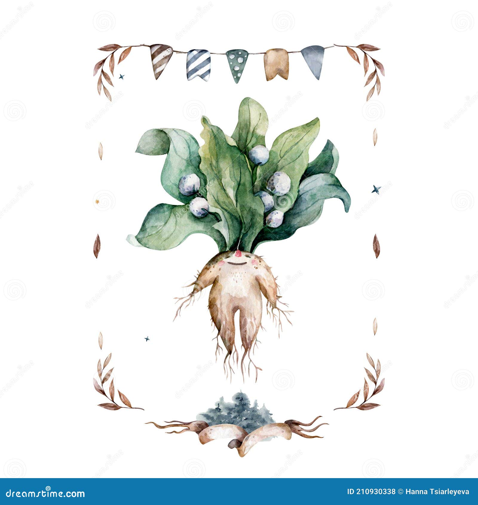 130+ Mandrake Root Stock Illustrations, Royalty-Free Vector