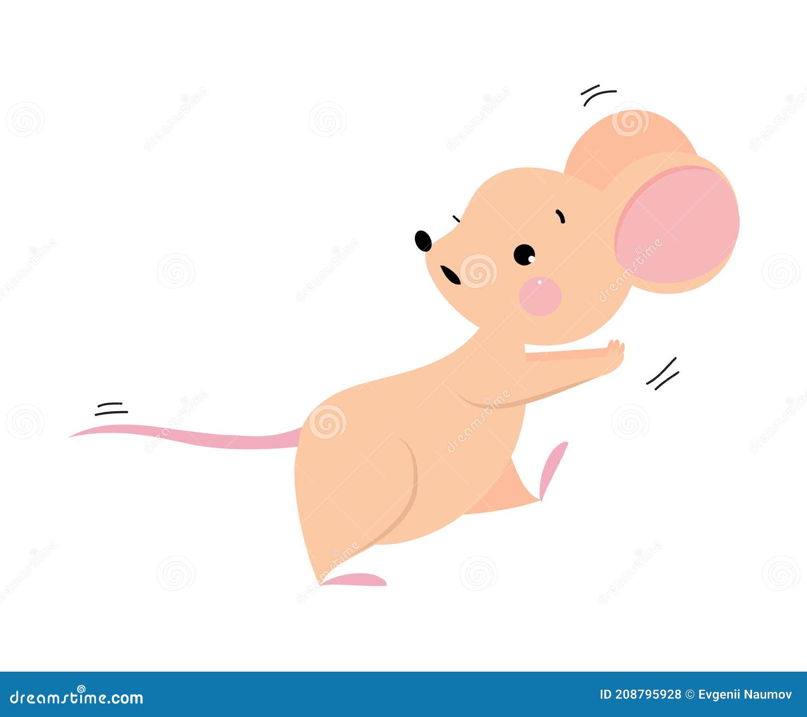 cute mouse with pointed snout and rounded ears running and escaping from someone  