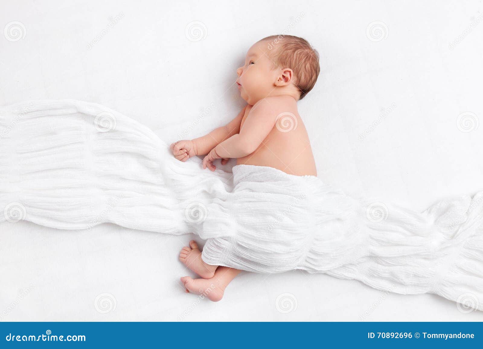 Cute Newborn Baby Under a Blanket Stock Photo Image of care, cute