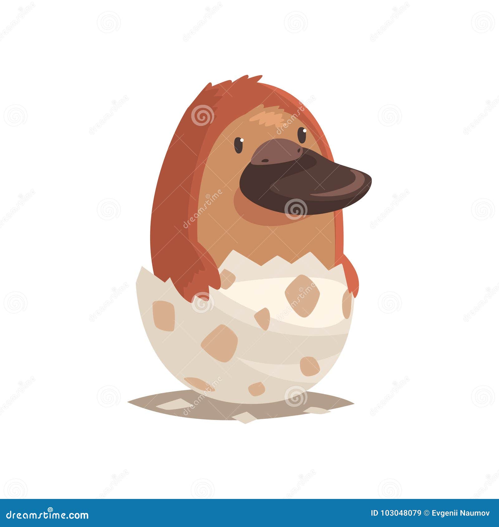 Cute Newborn Platypus In Broken Egg Shell Stock Vector Illustration Of Card Holiday Cute Newborn Platypus In Broken Egg Shell Stock Vector Illustration Of Card Holiday