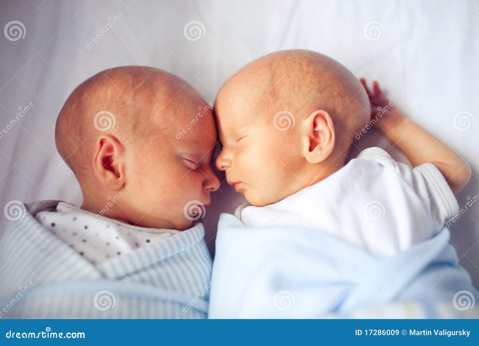 Cute Newborn Twins Sleeping and Bonding Stock Image Image of friend
