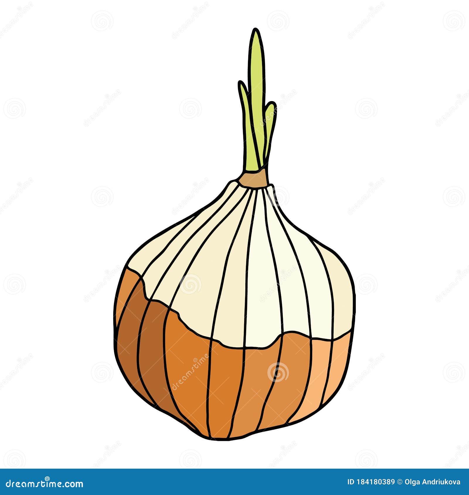 8,169 Red Onion Drawing Images, Stock Photos & Vectors | Shutterstock