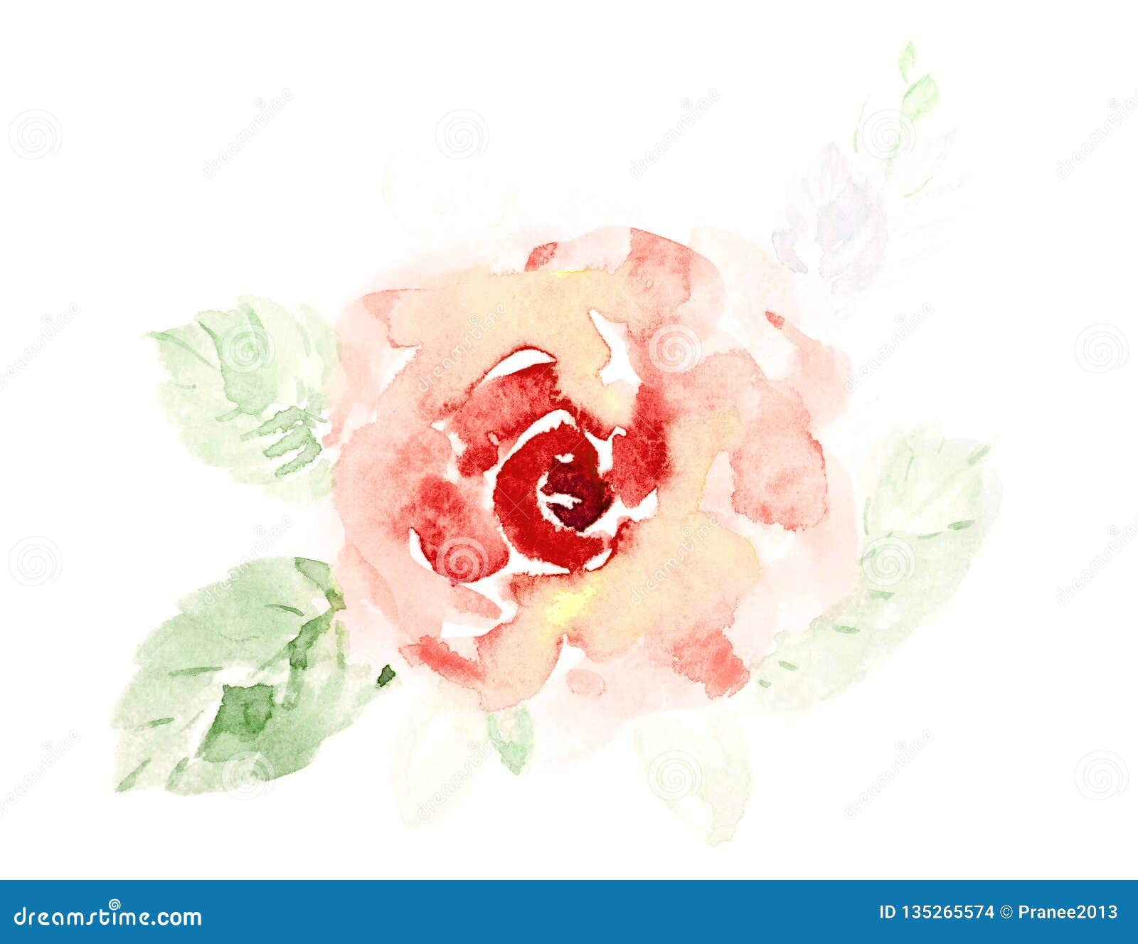 Cute Orange Rose Flowers Watercolor Hand Painted on a White Background ...