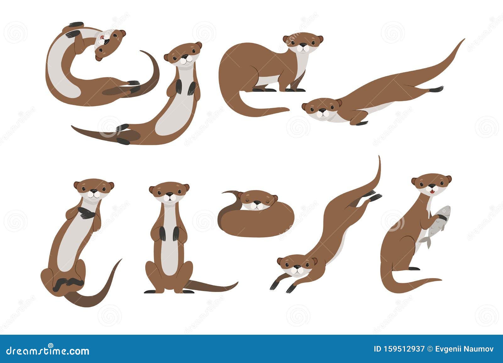 Cute Otter Set, Funny Animal Character in Various Poses Vector Illustration on a White Background Stock Vector - Illustration of carnivorous, hunting: 159512937 Cute Otter Set, Funny Animal Character in Various Poses Vector Illustration on a White Background Stock Vector - Illustration of carnivorous, hunting: 159512937