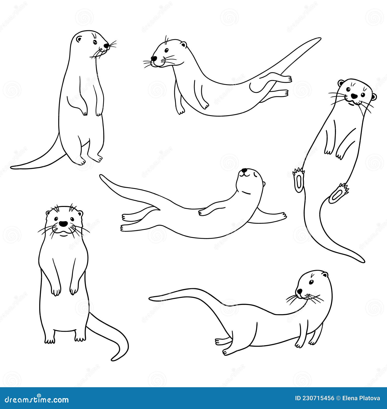 Swimming Otter Drawing
