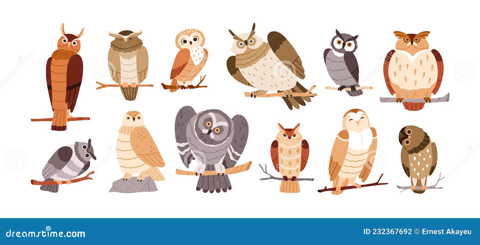 cute owl birds set. funny owlets, feathered animals, sitting on tree branches and watching for smth with bulging eyes