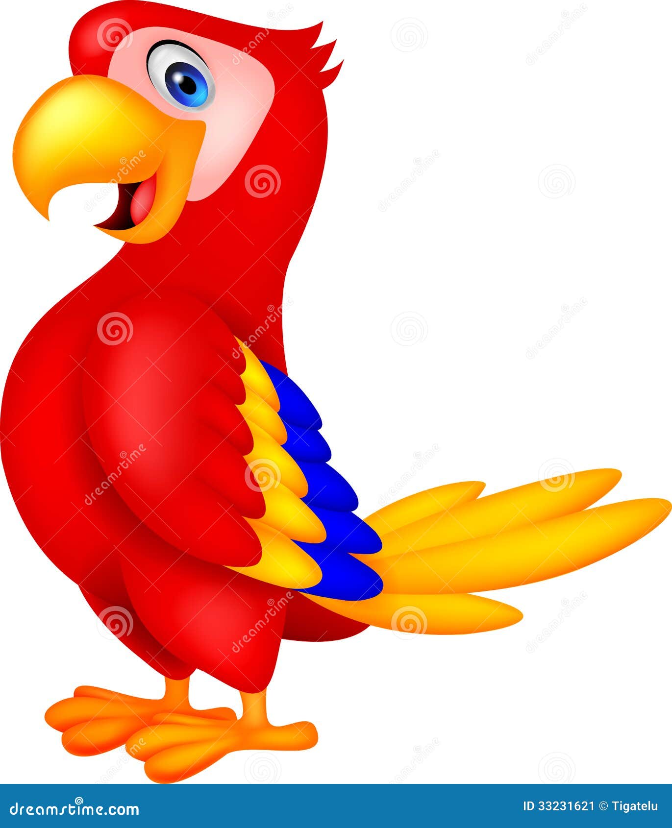 cute parrot bird cartoon