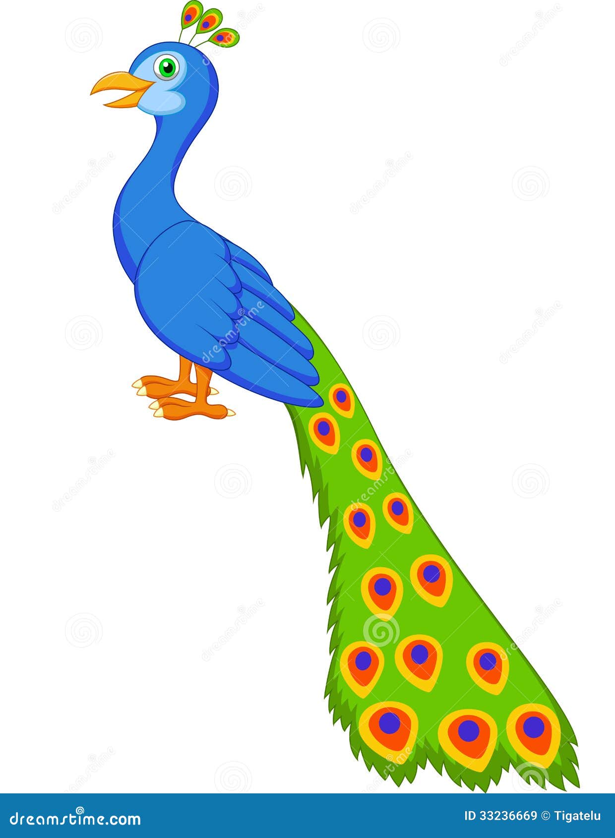 Cute peacock cartoon stock vector. Illustration of feather - 33236669