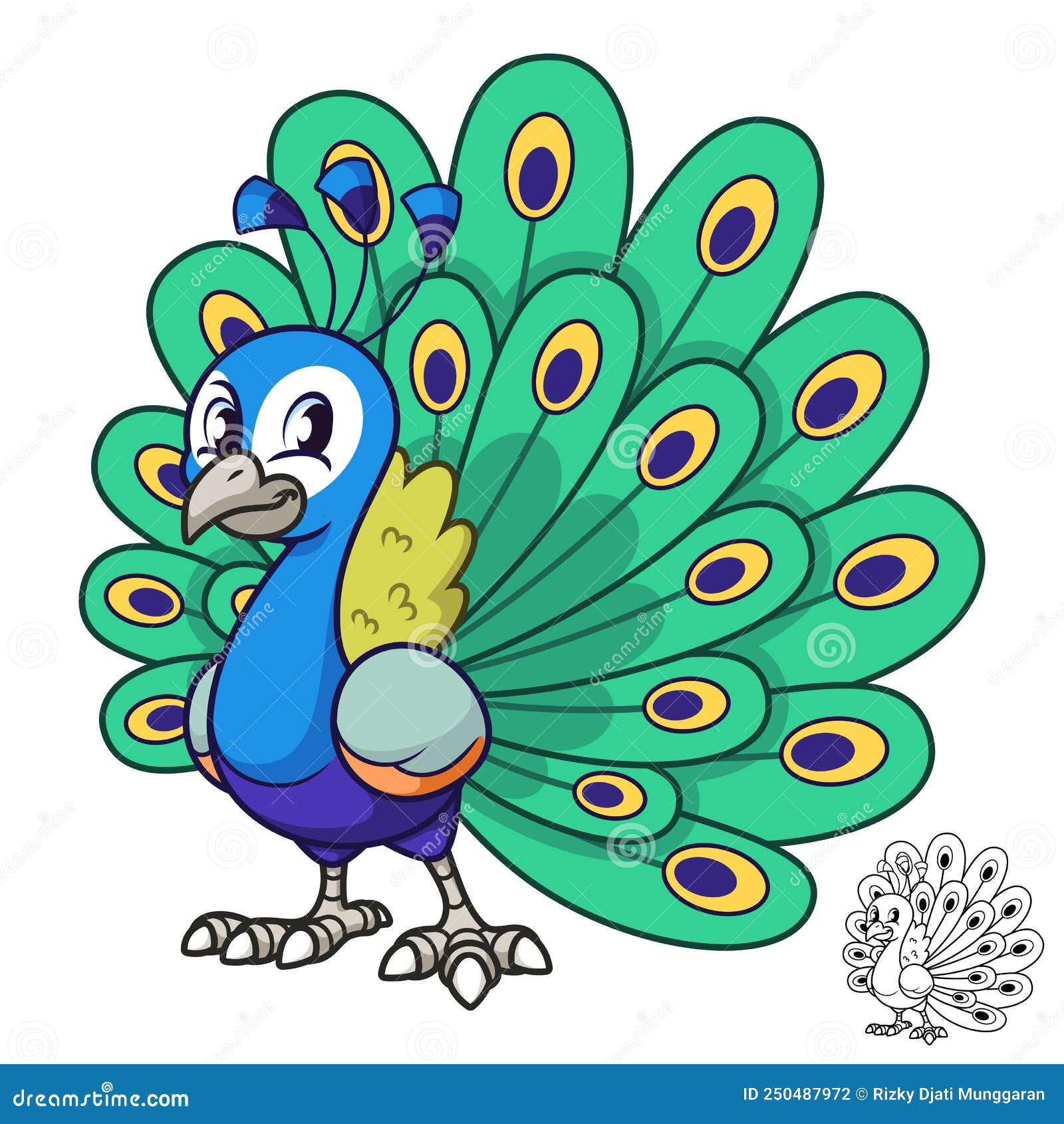 peacock drawings