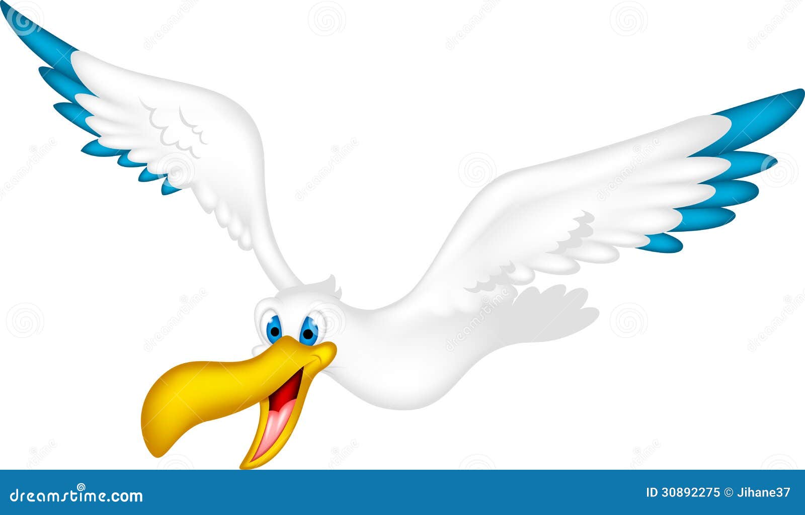 pelican cartoon clipart