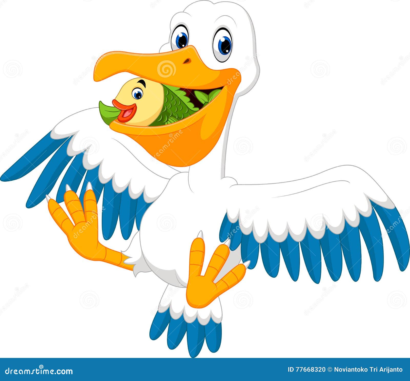 pelican cartoon clipart