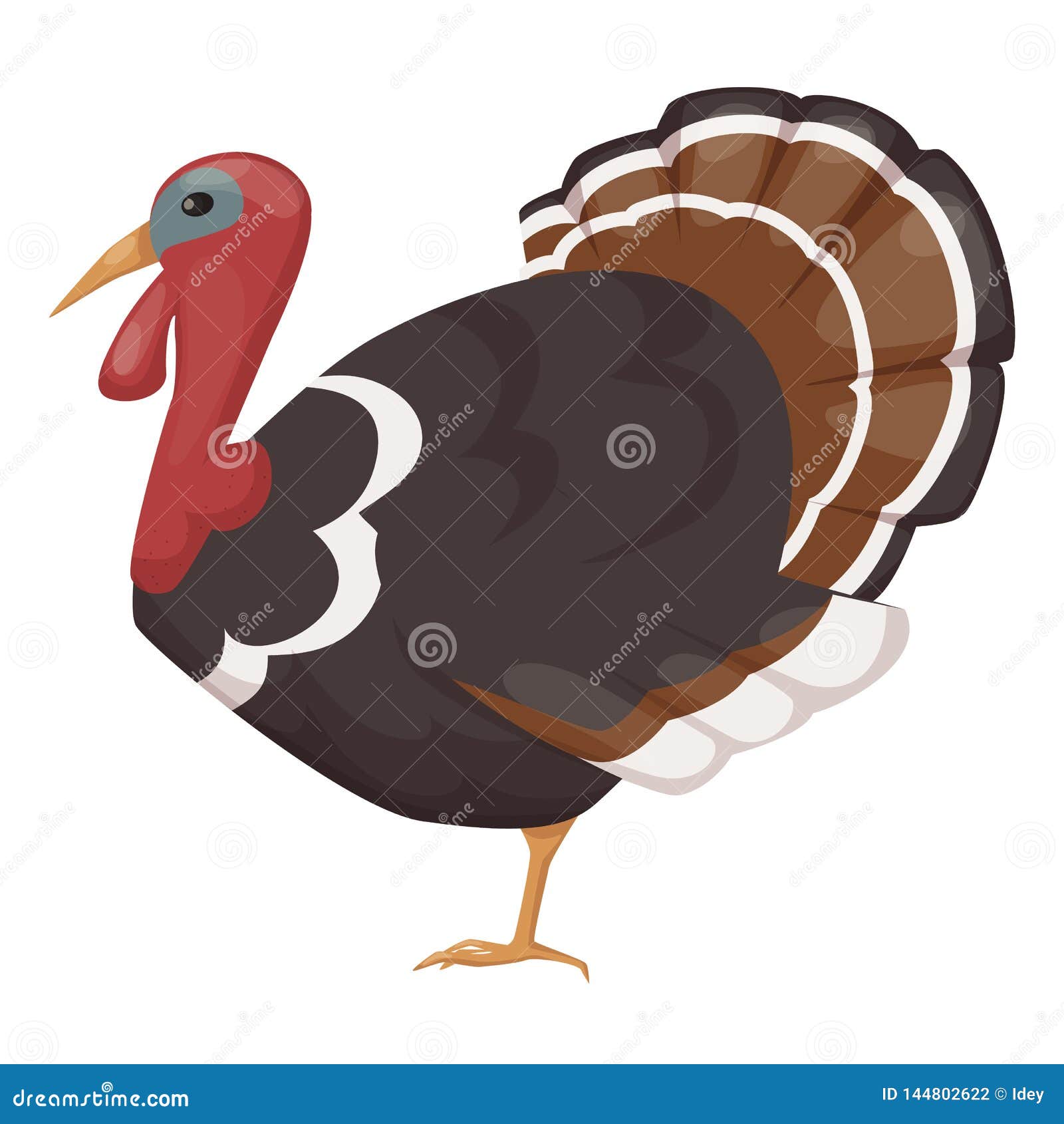 Cute, Pet, Bird Turkey. Chicken Bird from the Genus Turkeys. Stock Vector - Illustration of badges, chicken: 144802622 Cute, Pet, Bird Turkey. Chicken Bird from the Genus Turkeys. Stock Vector - Illustration of badges, chicken: 144802622