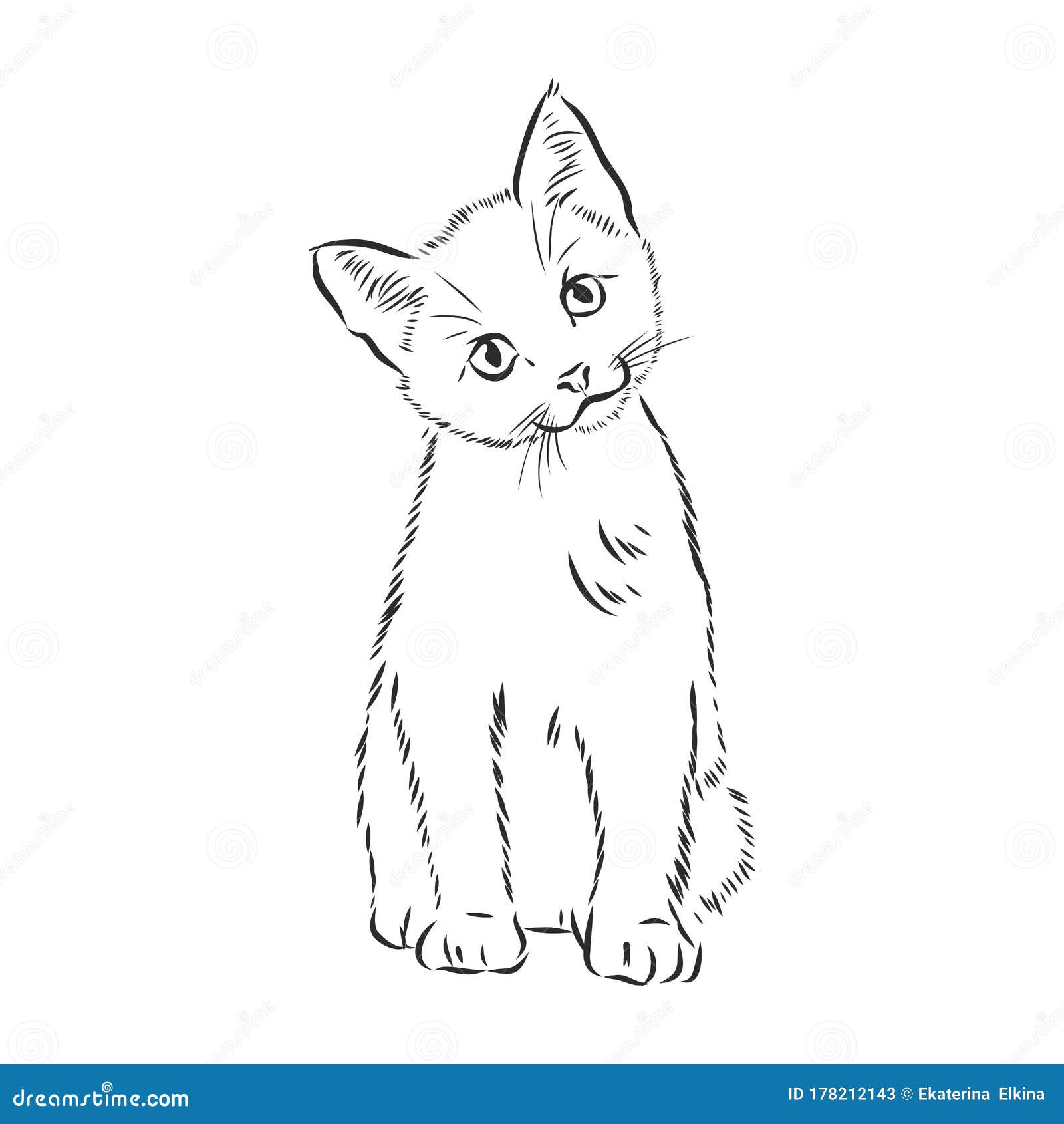 Cute Pet Cat Realistic Vector Sketch Illustration Stock Illustration - Illustration Of Baby Kitty 178212143