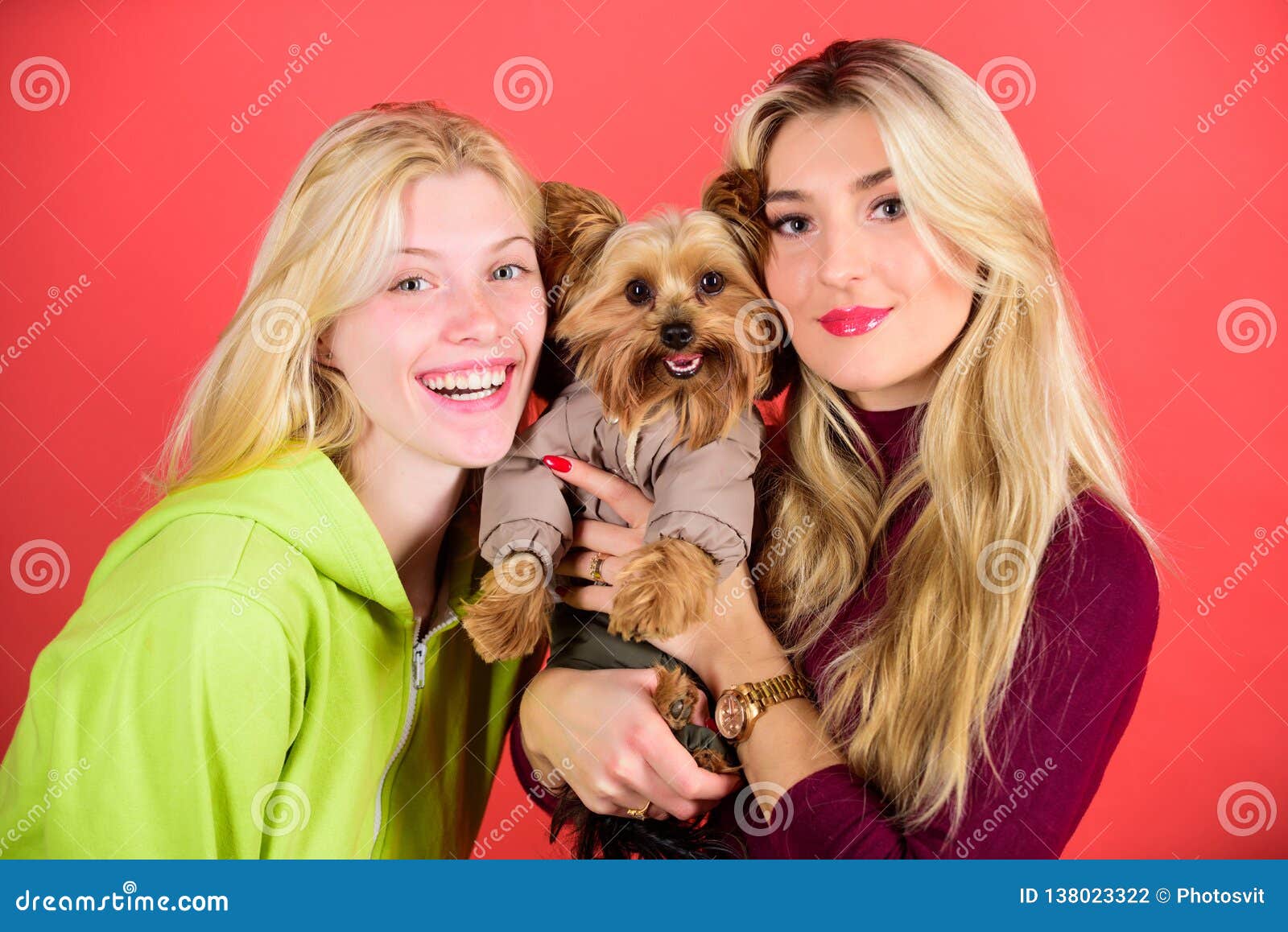 Cute Pet Dog. Yorkshire Terrier Breed Loves Socialization. Blonde Girls Adore Little Cute Dog Stock Photo - Image of seasonal, friend: 138023322 Cute Pet Dog. Yorkshire Terrier Breed Loves Socialization. Blonde Girls Adore Little Cute Dog Stock Photo - Image of seasonal, friend: 138023322