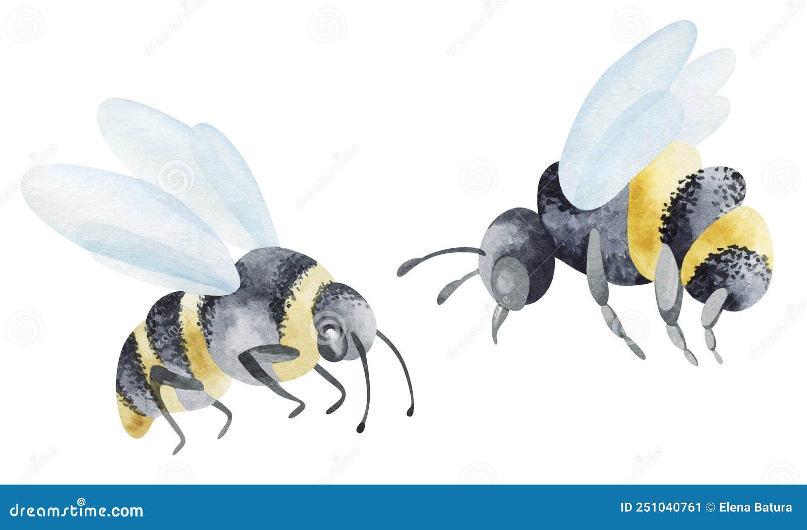 Watercolor Illustration Isolated on White Background. Cute Picture of ...