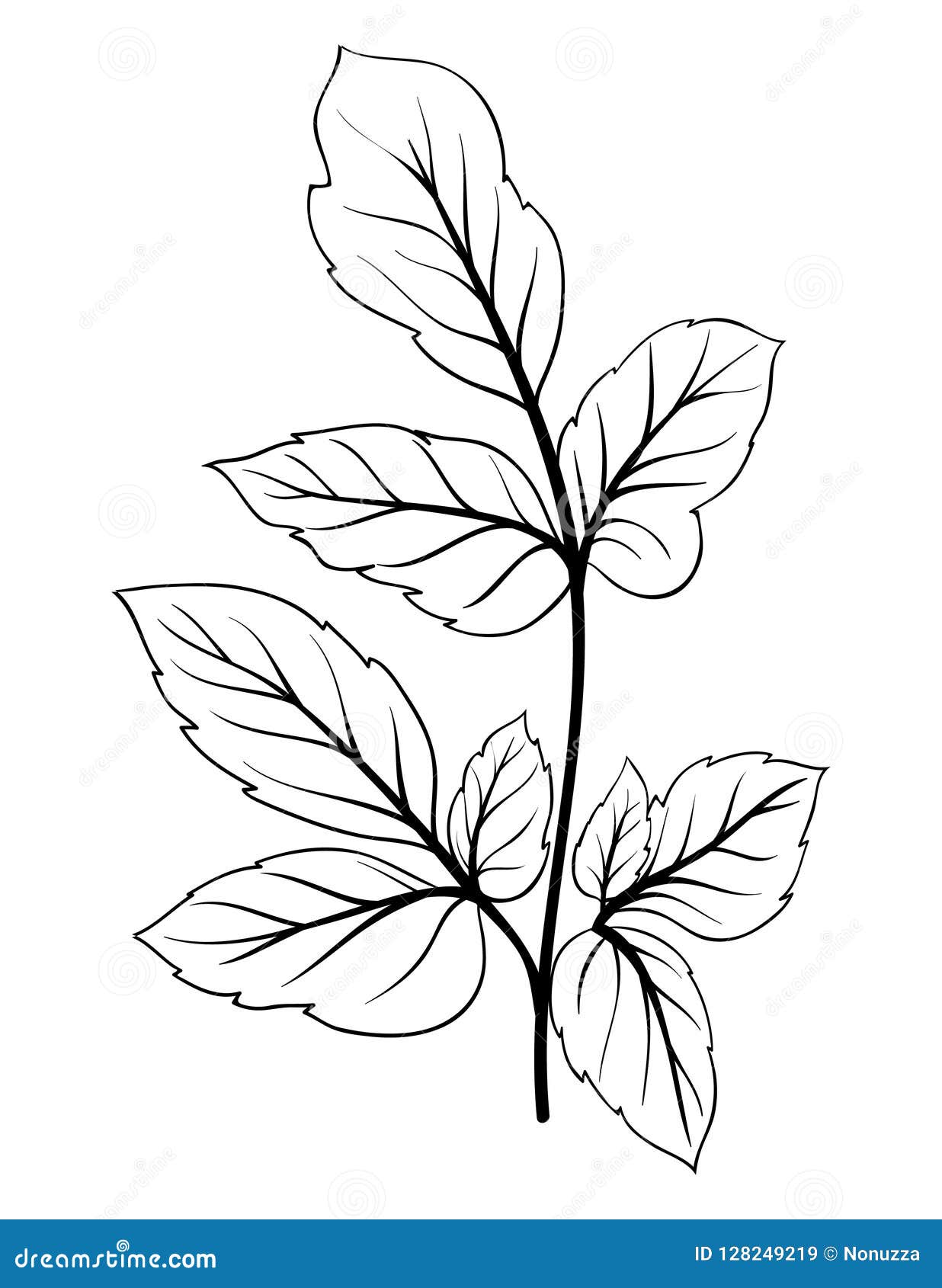 Download Adult Coloring Book,page A Cute Flower,plant Image For ...